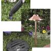 12 Volt Lighting